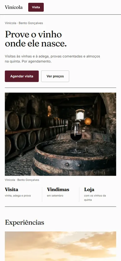 Modelo de site para enoturismo no celular